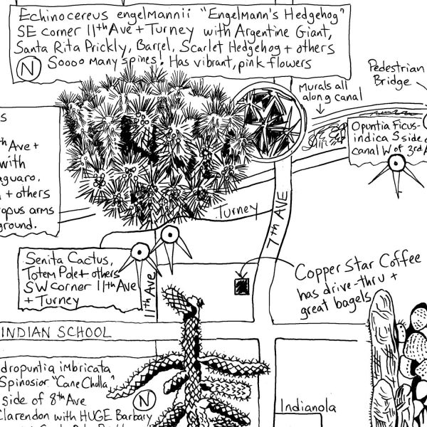 Phoenix Cactus Map by Jen Urso