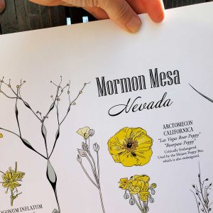 Mormon Mesa Botanical Poster